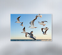 canvas prints from Sinalite